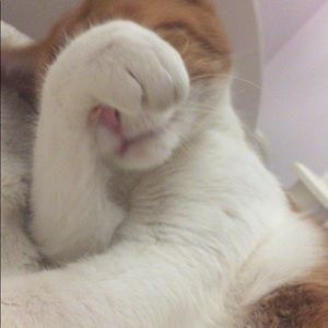 Meet your Posher, Mckenzie